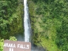 Akaka Falls State Park 11